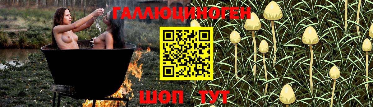 Псилоцибиновые грибы ЛСД Котовск
